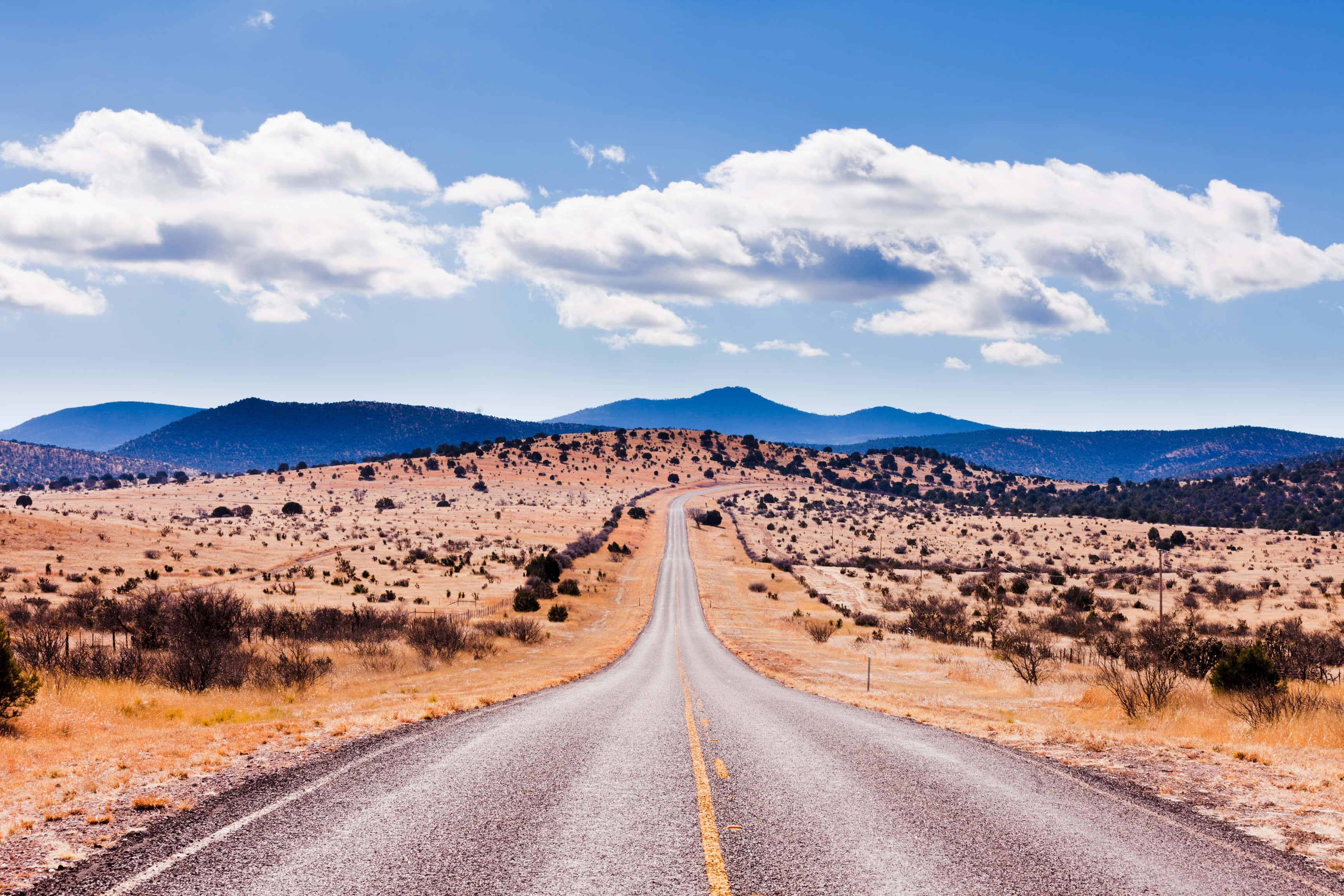 Hit the Open Road