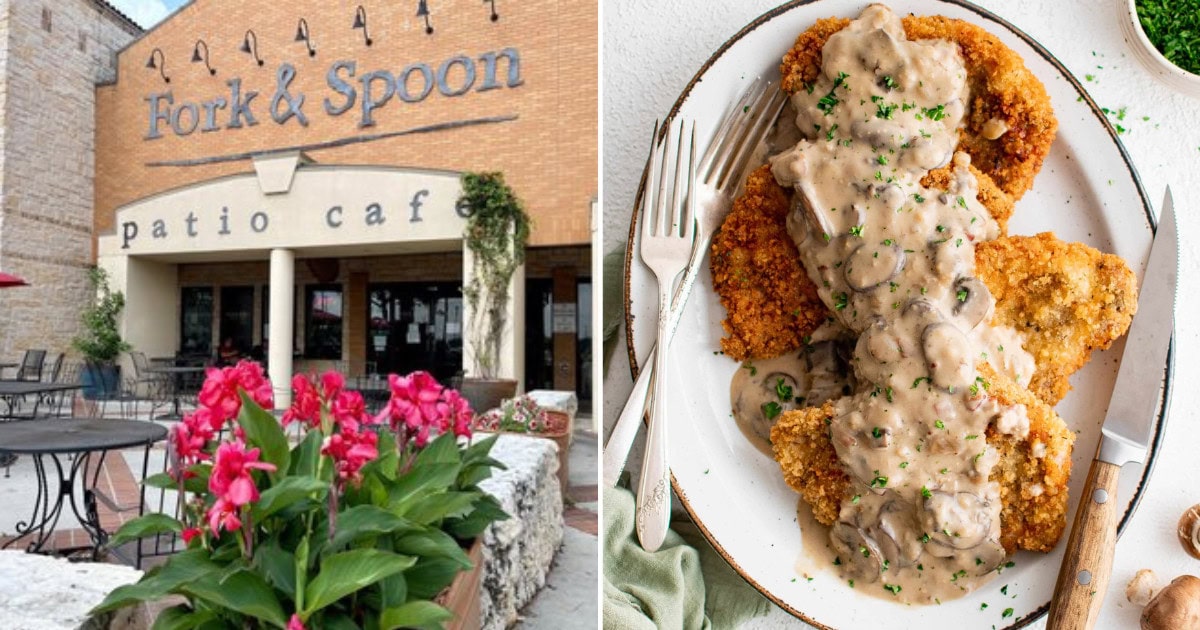 Where to Find the Best Schnitzel in New Braunfels, TX