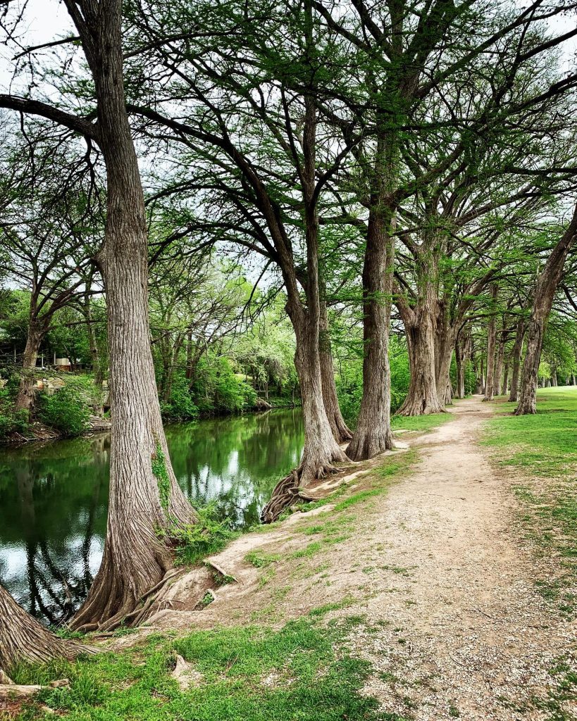 A serene walk along Cypress Bend Park’s trail, lined with trees and bordered by the Guadalupe River. Credit: @michelle_whitaker_realtor via Instagram