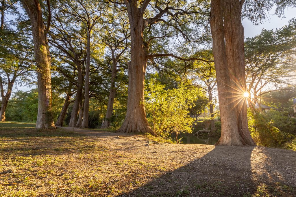 Spend the golden hour and relax within the presence of nature in the Cypress Bend Park. Credit: u/pbankey via r/Newbraunfels 