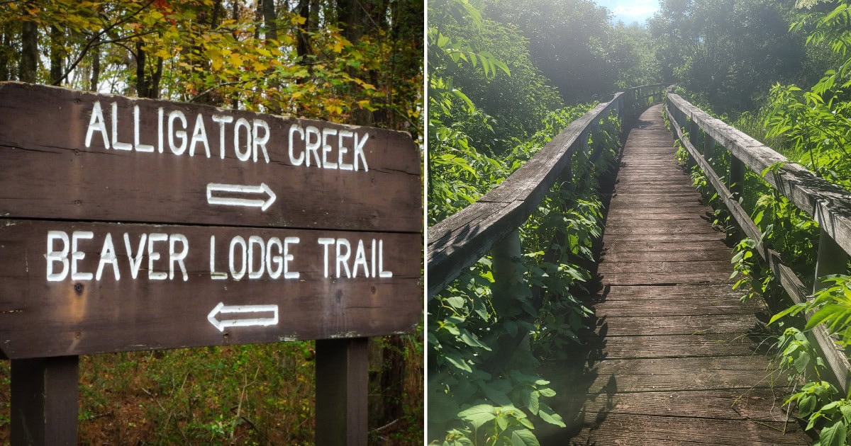 Alligator Creek Trail: Scenic Walks in New Braunfels