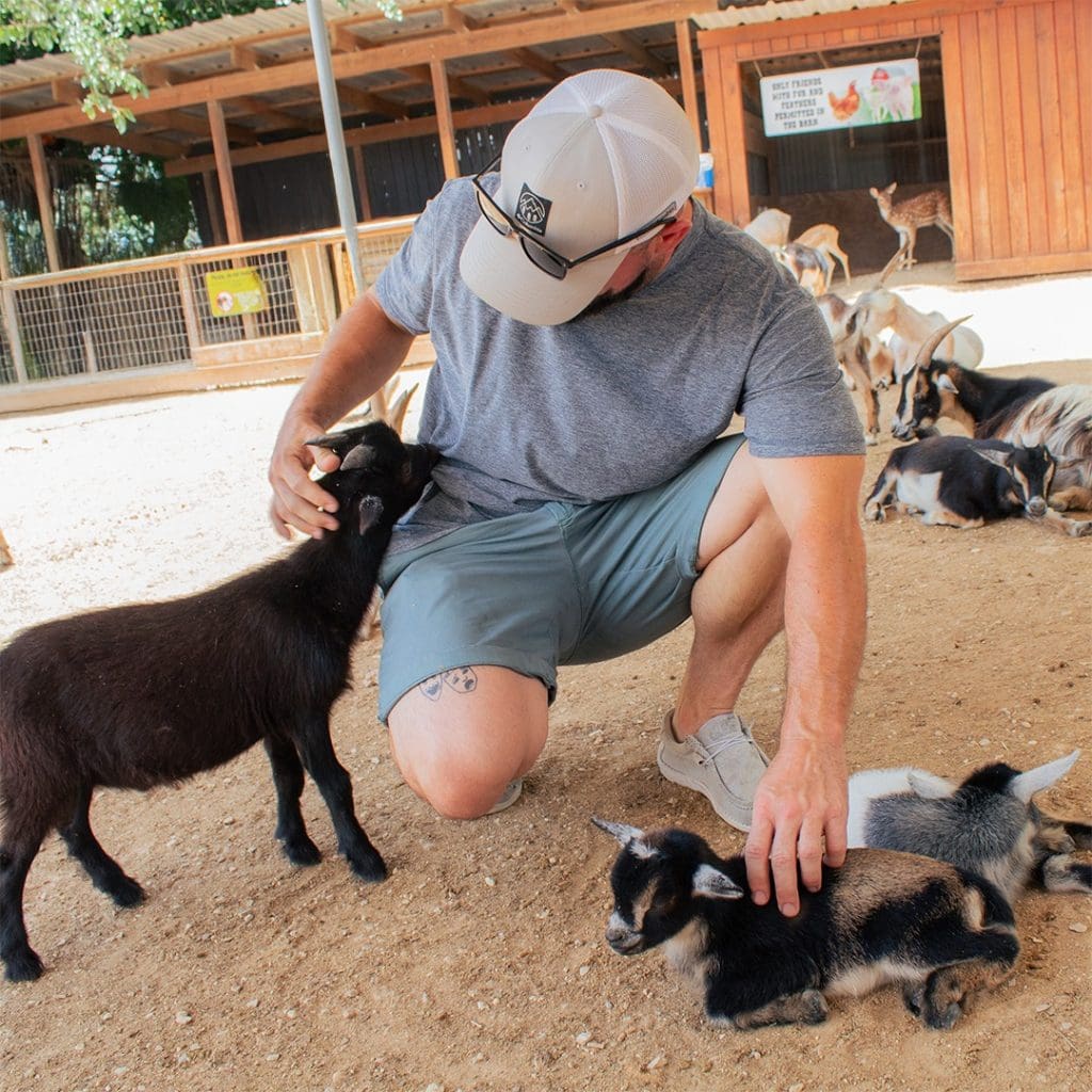 Guests can enjoy hands-on moments with friendly goats, deer, and mini llamas in the zoo’s interactive petting area. Credit: @awsfzoo via Instagram