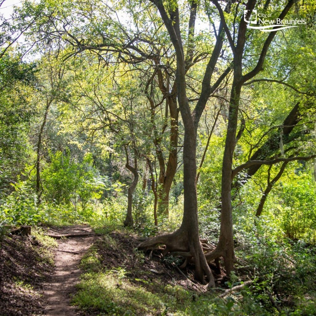 Winding pathways and natural beauty make Dry Comal Creek Trail an inviting hike for all skill levels. Credit: @nbparksandrec via Instagram
