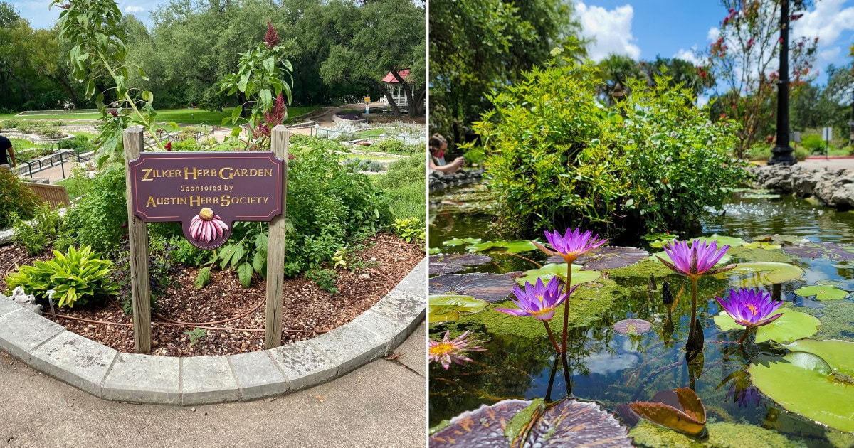This Local Botanical Garden Offers $5 Tickets For Seniors