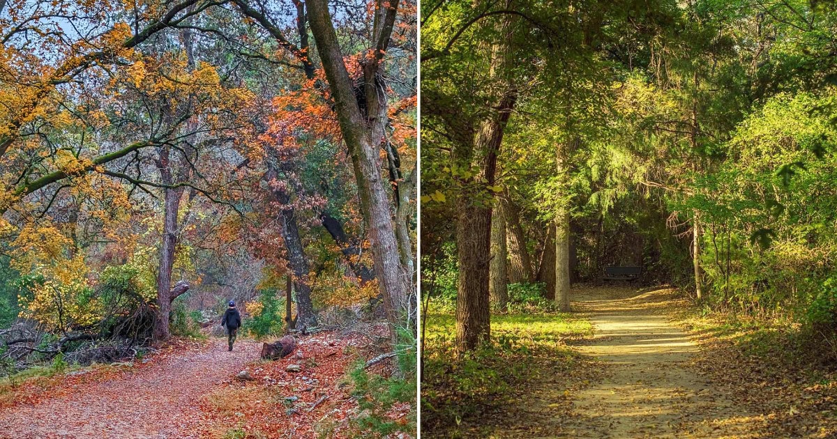 6 Senior-Friendly and Relaxing Walking Trails Across Texas