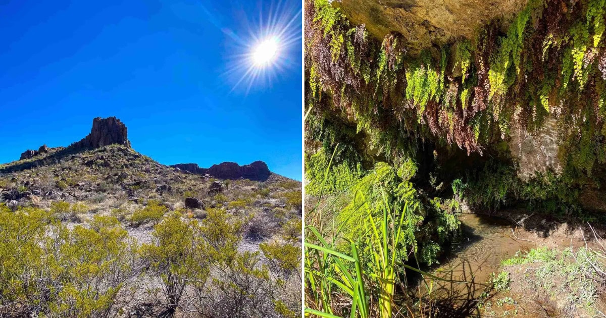 Did You Know That There’s an Oasis Hidden in the Big Bend?