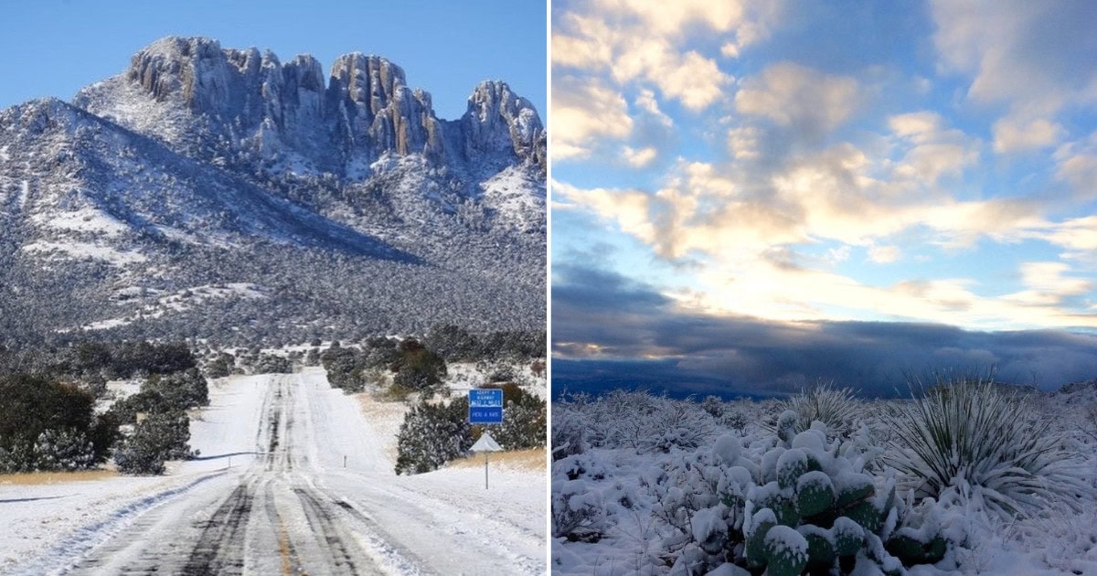 6 Fun Texas Winter Adventures You Don’t Wanna Miss Out On