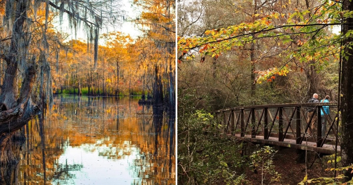 Most Texans Don’t Know About This Enchanting Fairy Forest