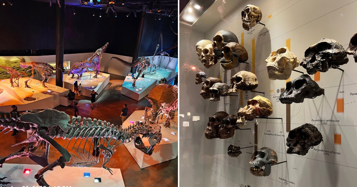 This Texas Museum Offers Free Admission Every Week