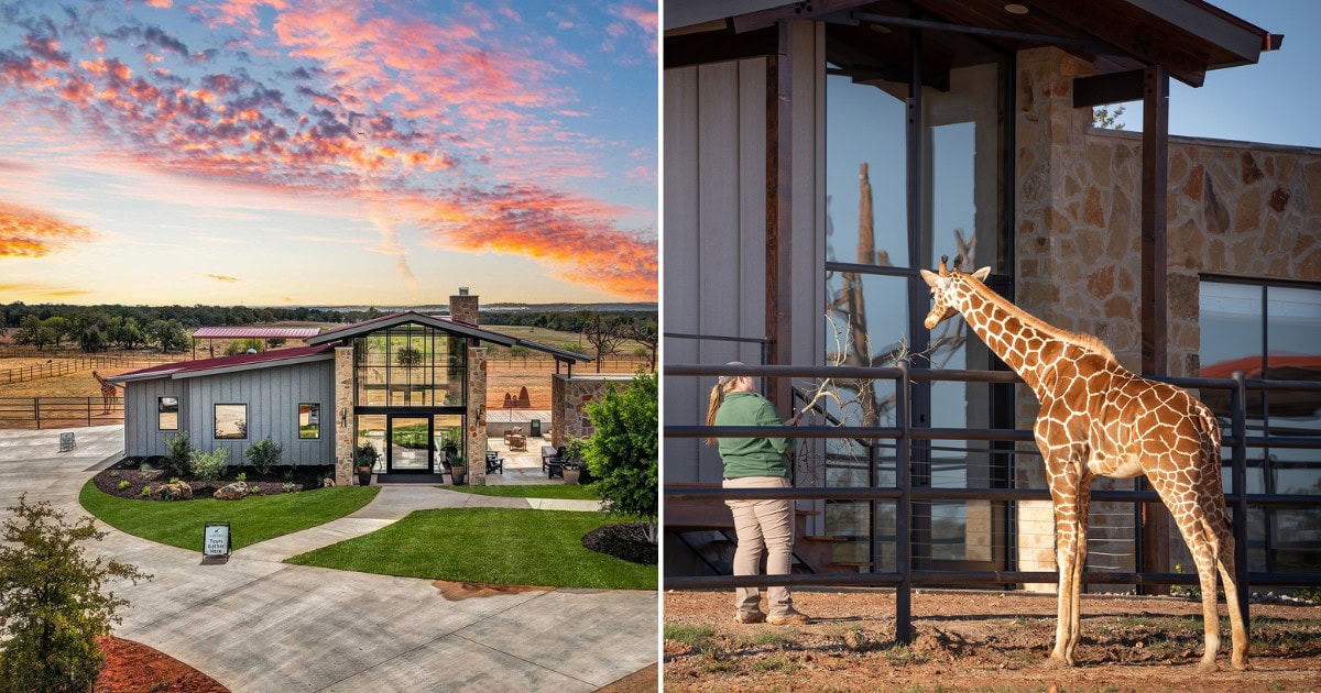 Stay at This Texas Safari Park Where Giraffes Greet You