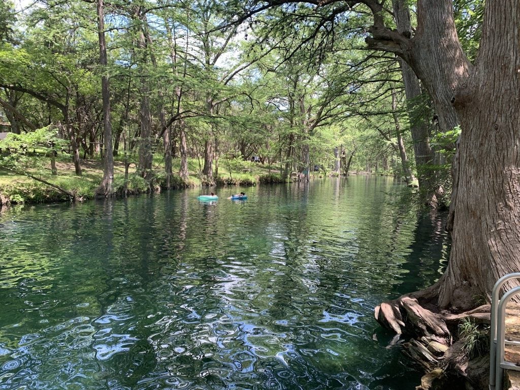 Cypress Creek flows calmly through Blue Hole in Wimberley, framed by towering cypress trees and peaceful green banks. Credit: u/Chowdahead via r/MostBeautiful