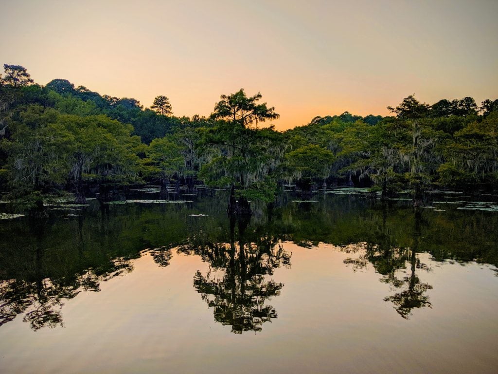 Calm waters and dense greenery define Caddo Lake State Park’s serene swamp landscape. Credit: u/midwest_bookworm via r/texas