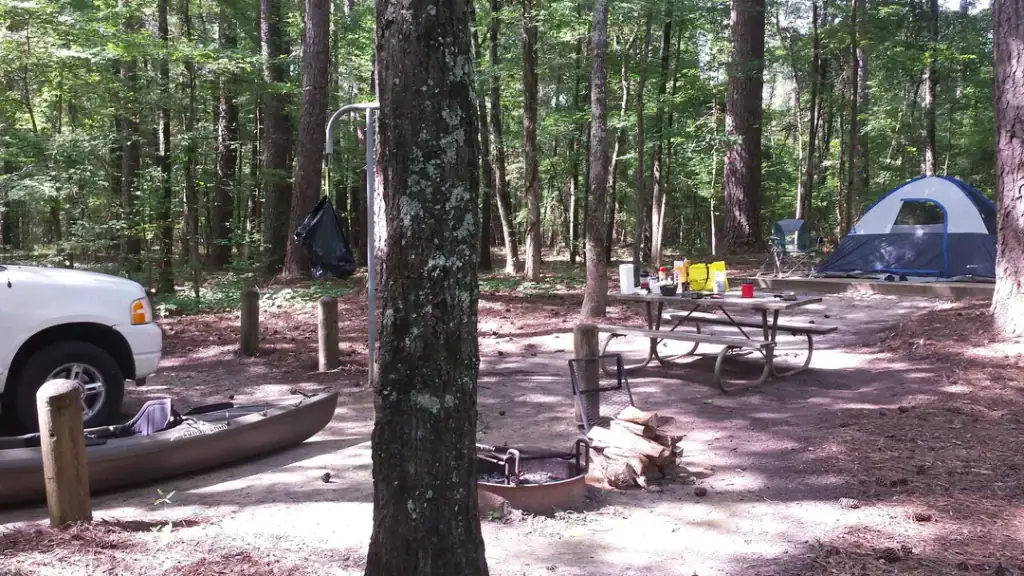 Setting up camp at Caddo Lake State Park, surrounded by dense forest and the sounds of nature. Credit: u/possumfish13 via r/camping