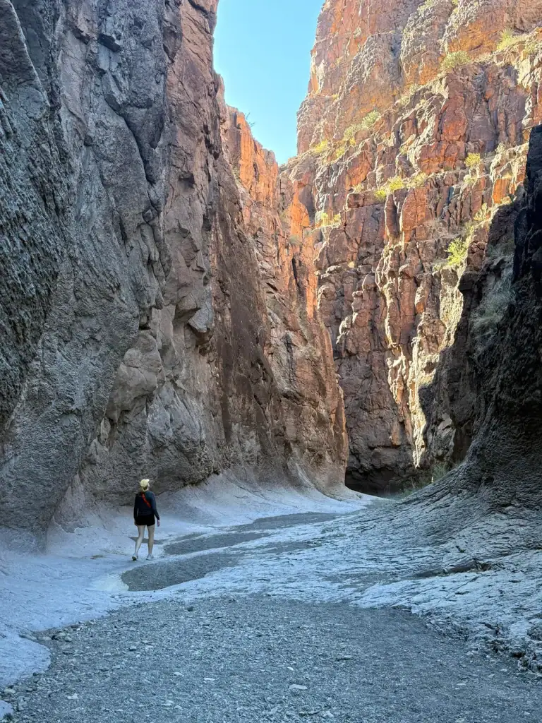 The Closed Canyon Trail at Big Bend reveals a dramatic slot canyon carved by centuries of water and wind, with towering rock walls that narrow as you hike deeper into its cool desert shade. Credit: u/TacoDeliDonaSauce via r/BigBendTX
