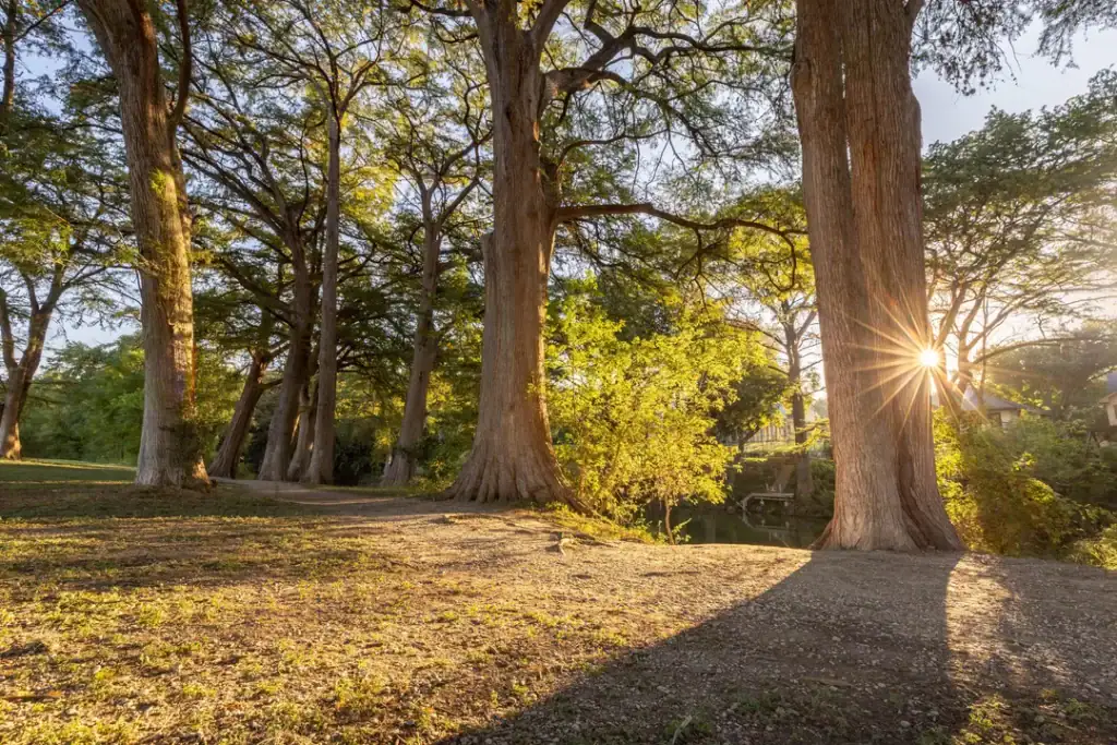 Golden dawn at Cypress Bend Park, where calm skies meet the Guadalupe. Credit: u/pbankey via r/Newbraunfels