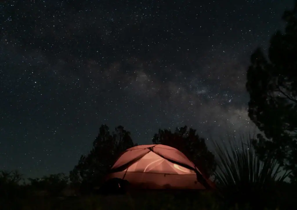 Under a blanket of stars at Devils River State Natural Area—Texas nights can't get more magical than this. Credit: u/joeysanchez77 via r/camping