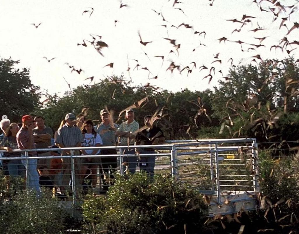 A mesmerizing bat flight at Devil’s Sinkhole, home to one of Texas’s largest bat colonies. Credit: @texasgov via Instagram