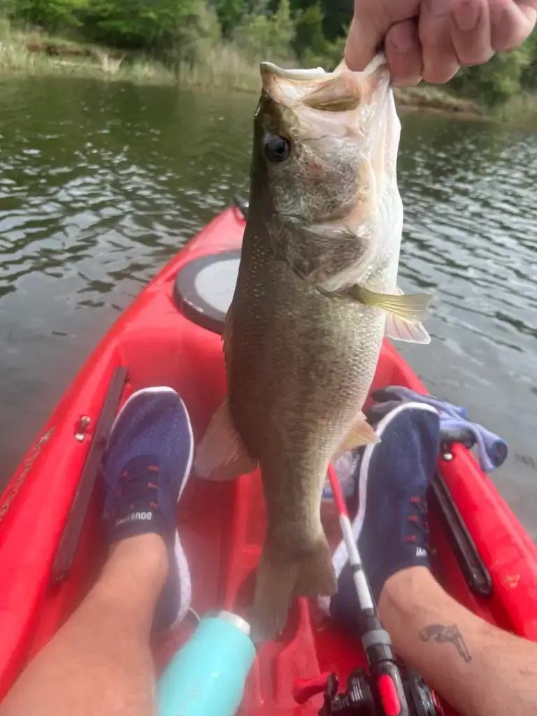 Fairfield Lake offers peaceful paddles and the thrill of landing a fish straight from your kayak. Credit: u/jimmyminnow via r/kayakfishing