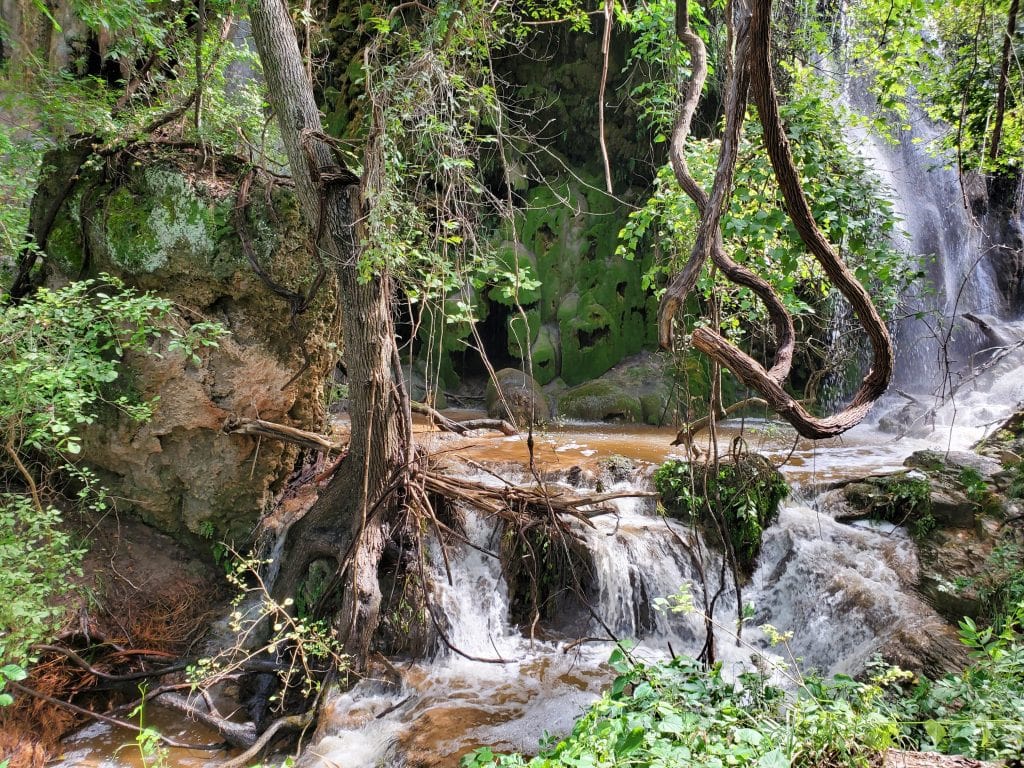 The trek to Gorman Falls may be tough, but the cascading waters and lush canyon scenery make it unforgettable. Credit: u/gheistling via r/texas