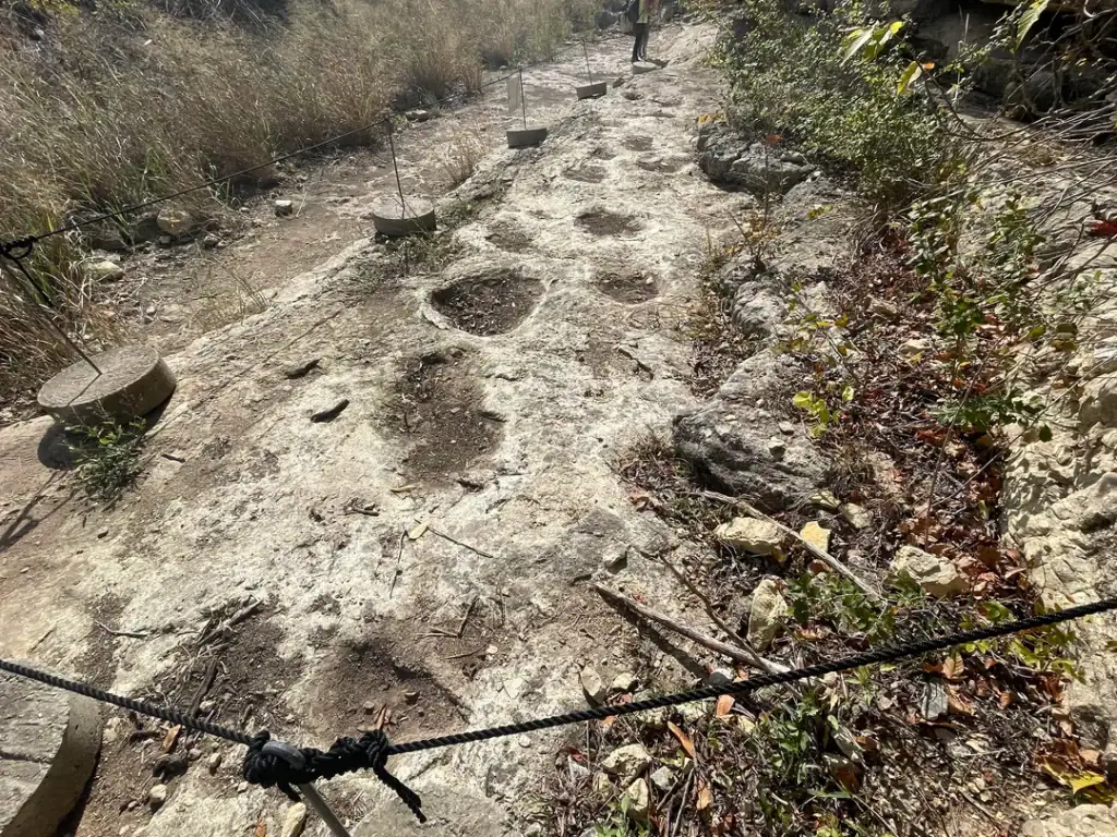 Fossilized dinosaur footprints at Government Canyon reveal ancient creatures that once roamed Texas. Credit: u/joe852397 via r/hiking