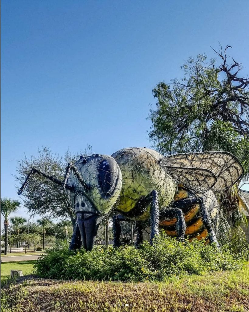 Terrifying up close, fascinating to behold — the world’s largest killer bee doesn’t exactly go unnoticed. Credit: @texasgov via Instagram