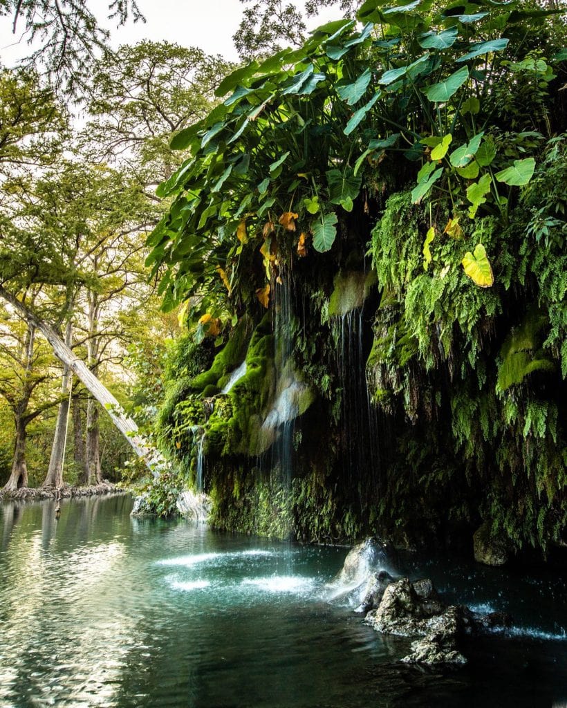 Waterfalls, fern walls, and serene nature vibes at Krause Springs. Credit: @grantdpittman via Instagram