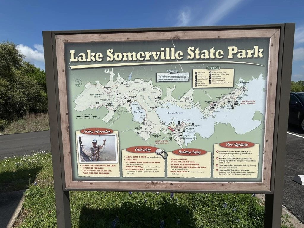 Signage and trails at Lake Somerville State Park lead you to vibrant bluebonnet blooms that few visitors get to see. Credit: Merideth Oliver via Instagram