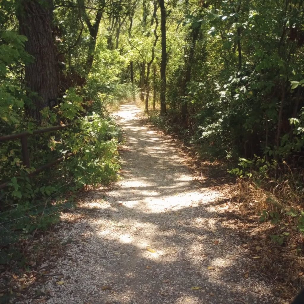 The trails near Old Alton Bridge are surprisingly peaceful—if you ignore the Goatman stories. Credit: @heidi.cassinelli via Instagram