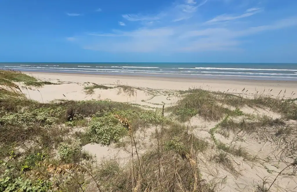 Untouched beach vibes on the shores of Padre Island National Seashore. Credit: u/SuccessFuture7626 via r/camping