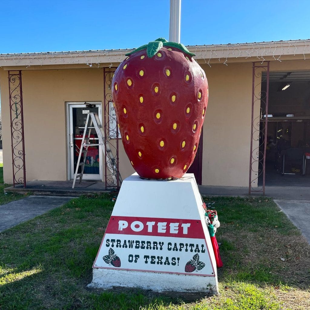 A larger-than-life strawberry statue in Poteet, proudly celebrating its title as the Strawberry Capital of Texas. Credit: @joshlmcdonald via Instagram