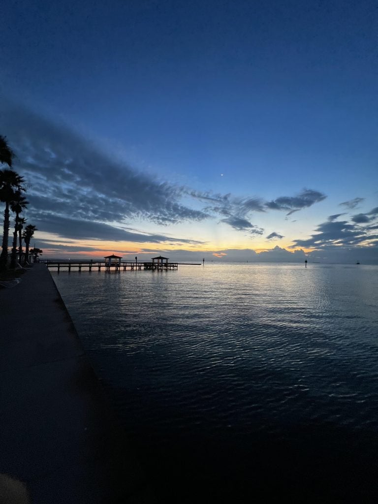 Peaceful Rockport morning vibes: fishing, birdwatching, and dolphins gliding by the pier. Credit: u/WTF-01 via r/texas