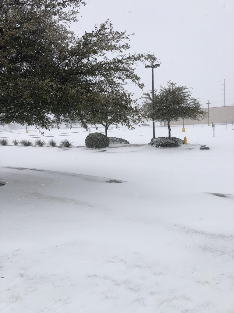 Plot twist: Texas does get chilly. Deep snow and quiet roads prove that the “always hot” stereotype doesn’t always hold up. Credit: Reddit user via r/texas