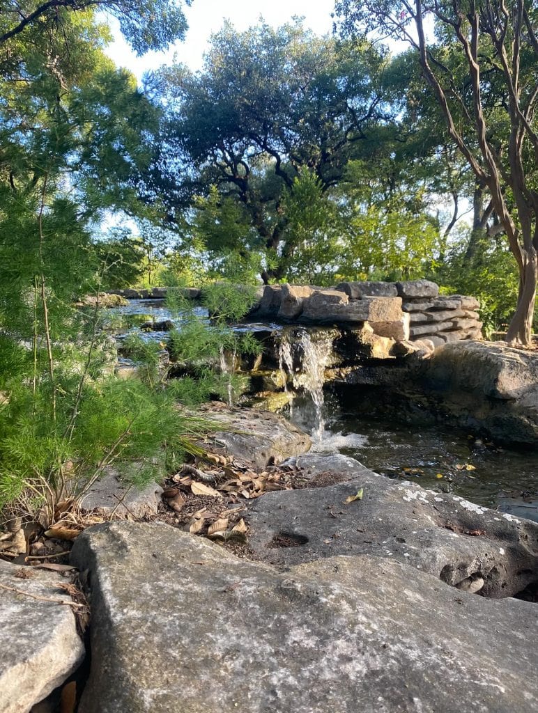 At Zilker Botanical Garden, the koi pond invites visitors to slow down and appreciate nature’s quiet details. Credit: @zilkerbotanicalgarden via Instagram