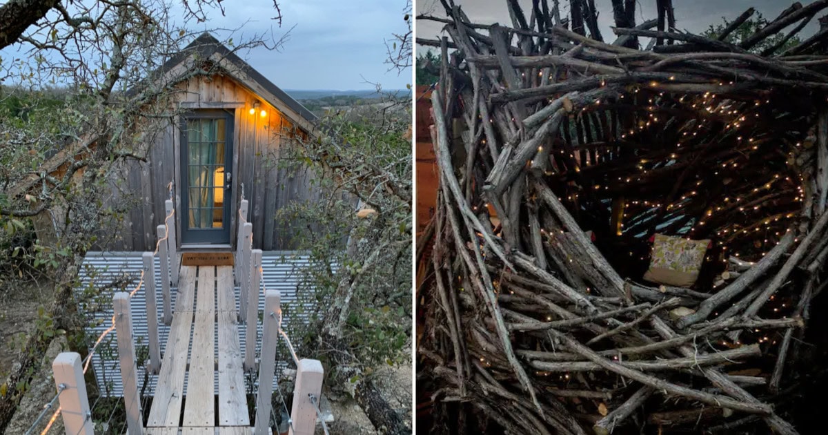 This Treehouse Cabin Has Its Own Bird’s Nest-Like Observatory
