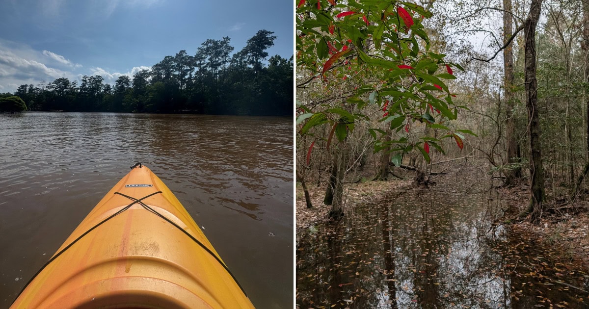 This Secret Canoe Trail in Texas Winds Through an Ancient Forest