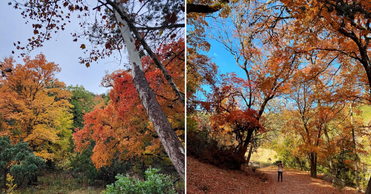 This Hill Country Park Has the Best Fall Foliage in Texas