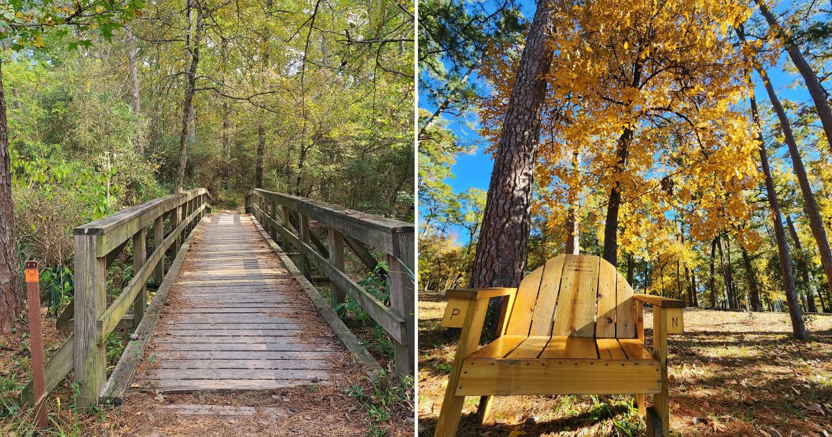 This Peaceful State Park in Texas Is a Pineywoods Escape Just an Hour From Houston