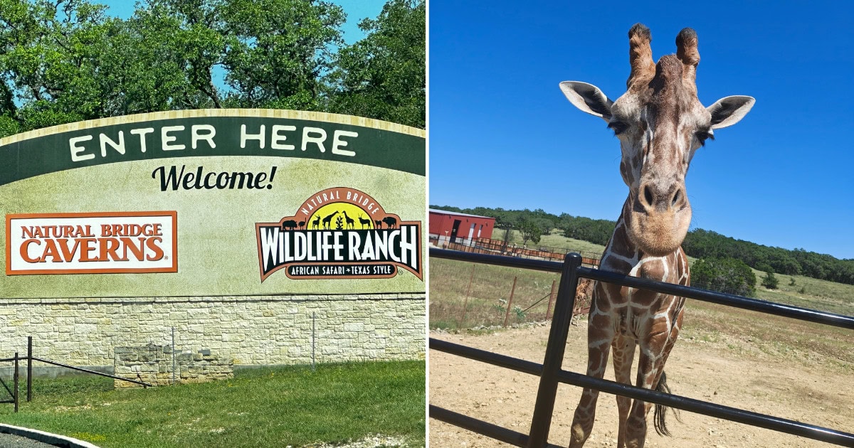 This Secret Wildlife Park In Texas Lets Kids Feed Giraffes By Hand