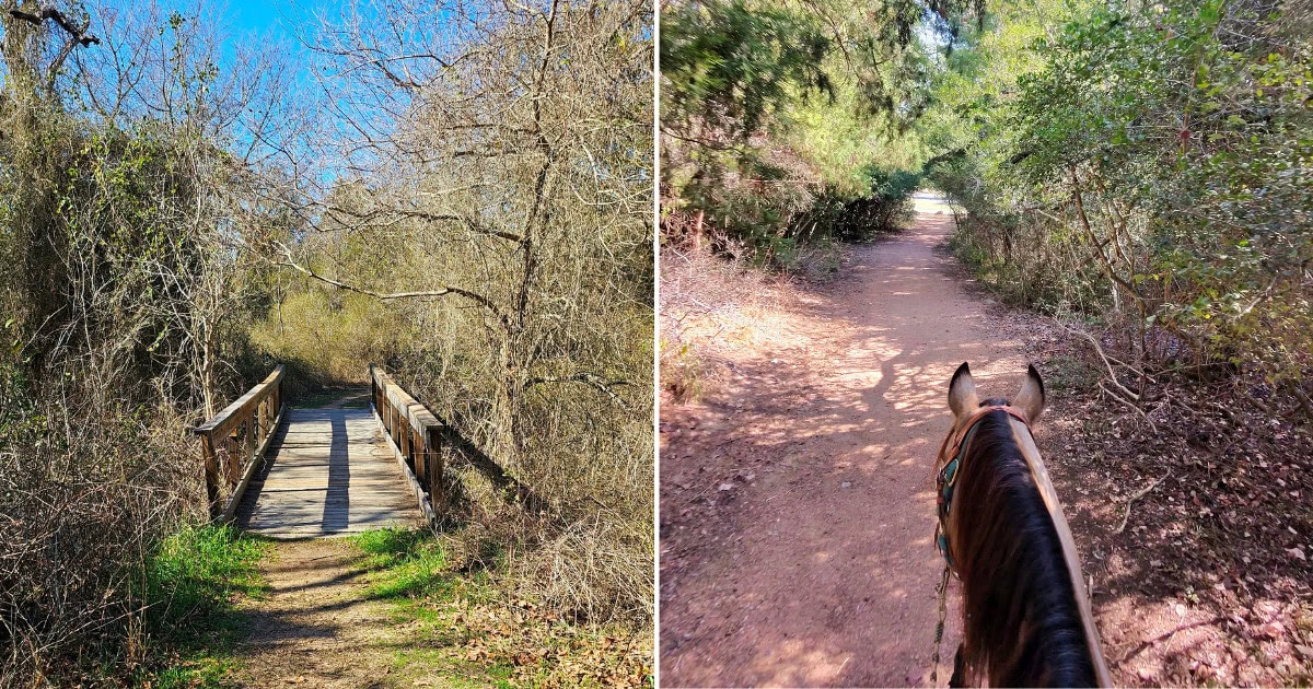Ride 13 Miles Through Post Oak Forest On This Secret Equestrian Trail
