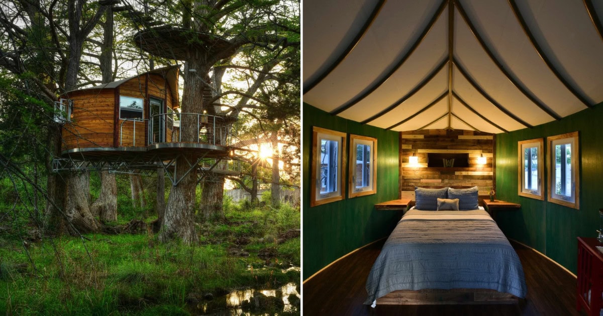 Sleep in This Solar-Powered Leaf-Shaped Treehouse Above a Creek