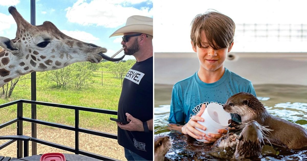 Dine With Giraffes and Swim With Otters at This One-of-a-Kind Texas Safari Ranch Resort