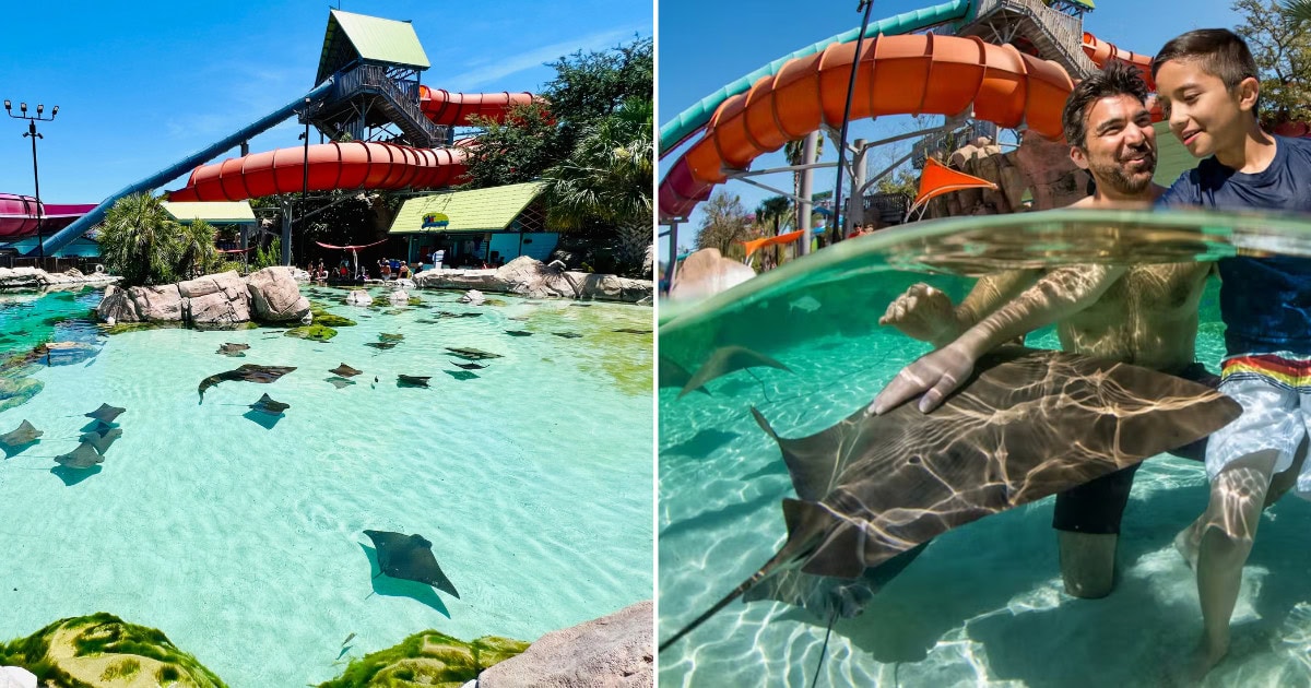 Swim With Stingrays In This Secret Tropical Waterpark
