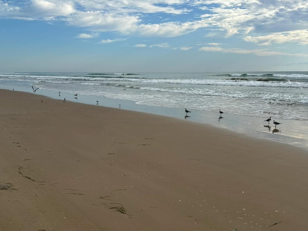 Fine sand, gentle waves rolling ashore, and birds in flight at Boca Chica Beach—simple, raw coastal beauty. Credit: @visitbocachica via Instagram