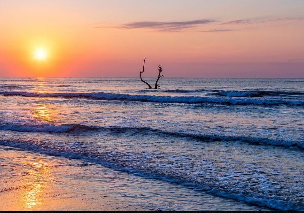A gorgeous view of the Gulf at Padre Island National Seashore, where deep blue waters meet the warm colors of a coastal sunset. Credit: @national_parks_traveler via Instagram
