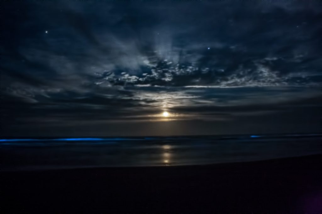A rare sight in South Padre Island—bioluminescent waters glowing beneath a full moon, creating a truly otherworldly coastal moment. Credit: Esteban Jimenez via Facebook
