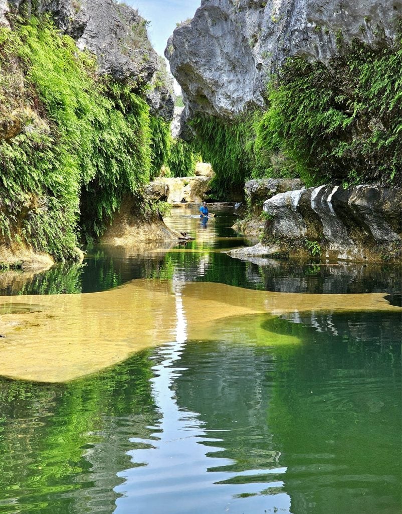 A peaceful view of the Blanco River Narrows with clear waters and fern-covered rocks—an intimate nature moment enjoyed in total solitude. Credit: Jason Samonds via Facebook