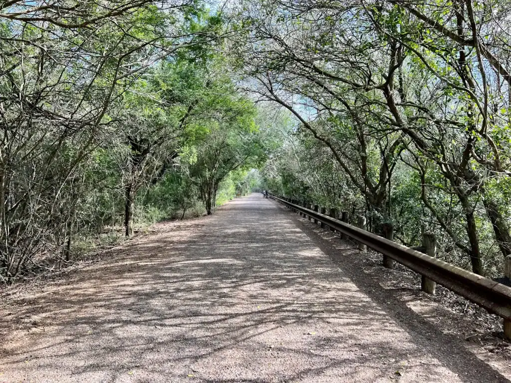 Trails at Resaca De La Palma State Park & World Birding Center immerse visitors in nature and abundant wildlife. Credit: Leanne Brown