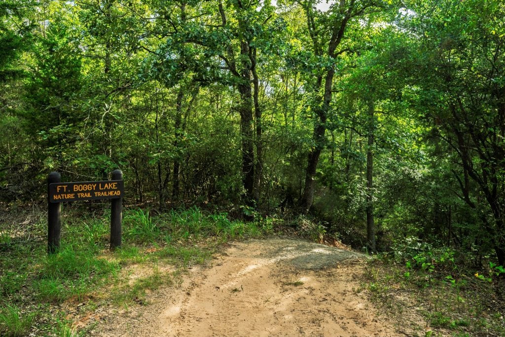 The hiking nature trail at Fort Boggy State Park offers a quiet walk through trees and wetlands. Credit: Jim Holland via Facebook