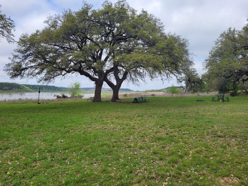 A shaded resting area along the Good Water Loop, with picnic tables beneath towering trees and sweeping views of Lake Georgetown. Credit: Aiden O'driscoll via Facebook