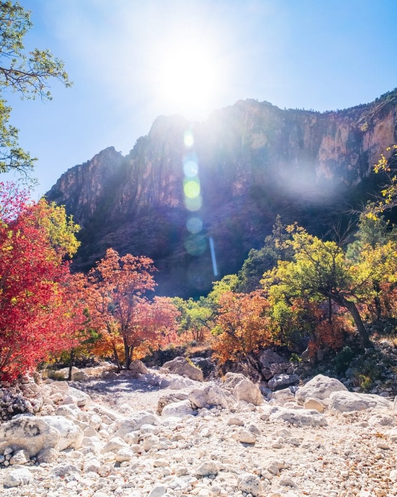 Discover the beauty of Guadalupe Mountains National Park, where rugged peaks, dramatic canyons, and diverse wildlife come together in one breathtaking landscape. Credit: @only.in.texas via Instagram